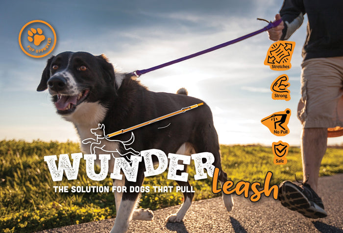 The Original No-Pull Dog Leash