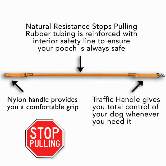 The Original No-Pull Dog Leash