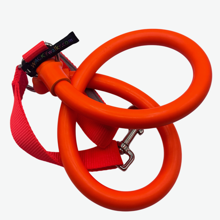 Orange / SMALL: up to 20 lbs.