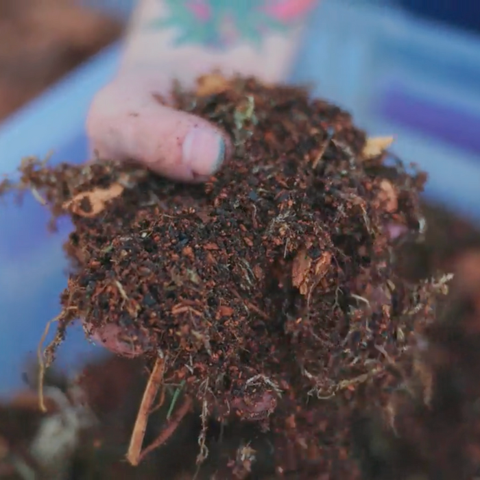 TropicalBase Bioactive Terrarium Mix