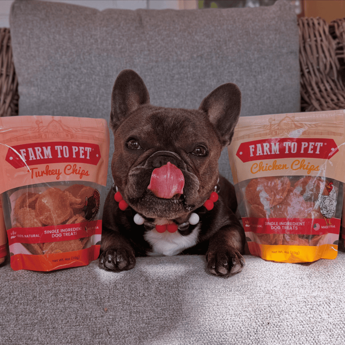 Turkey & Chicken Chip Dog Treat Duo