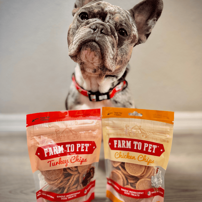 Turkey & Chicken Chip Dog Treat Duo