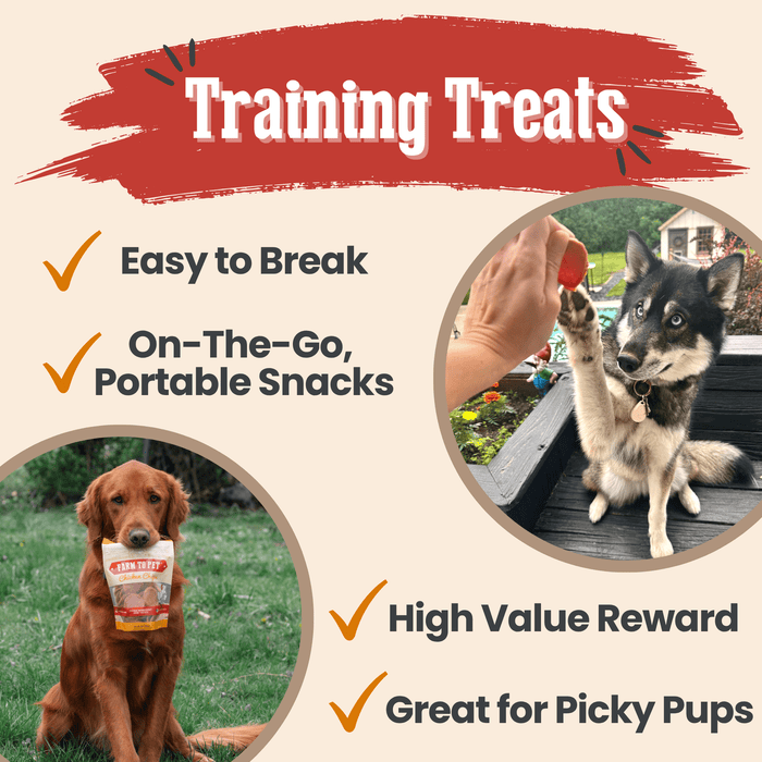 Turkey & Chicken Chip Dog Treat Duo