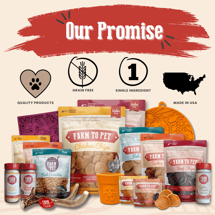 Turkey & Chicken Chip Dog Treat Duo