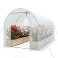 Walk-In Tunnel Greenhouse 15 x 7 x 7 ft