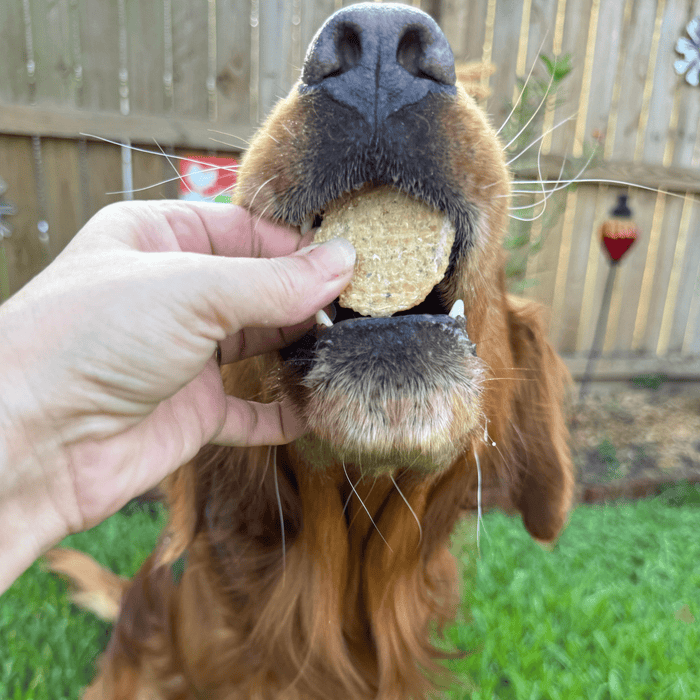 Wild-Caught Walleye Fish Chips for Dogs