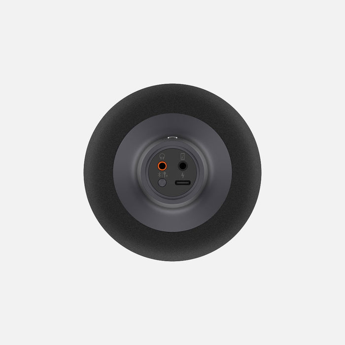 Xiaomi Mi Karaoke Microphone