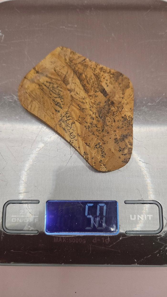 Yellow Feather Jasper Slab